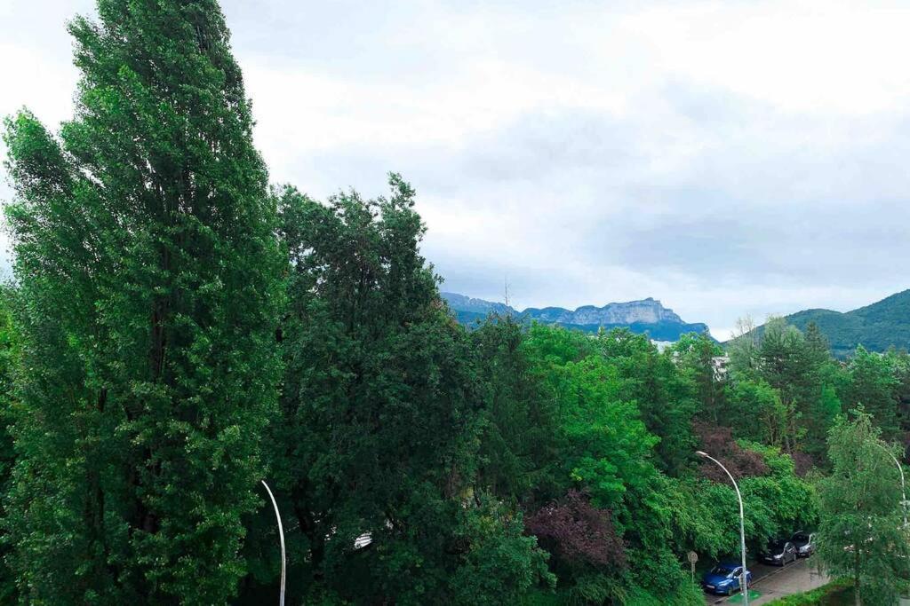 Apartment Avec Vue Sur Les Montagnes Annecy